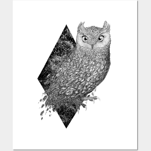 Cosmic Owl Wall Art by ECMazur